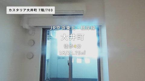 動画