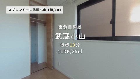 動画
