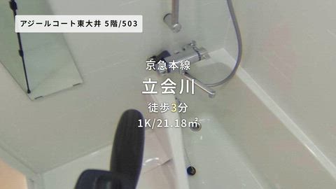 動画