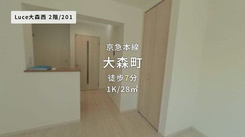 動画