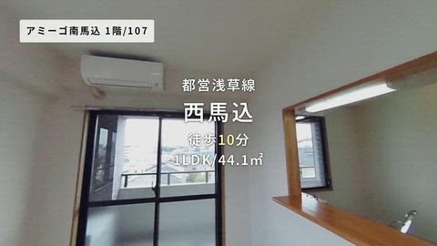 動画