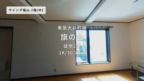 動画