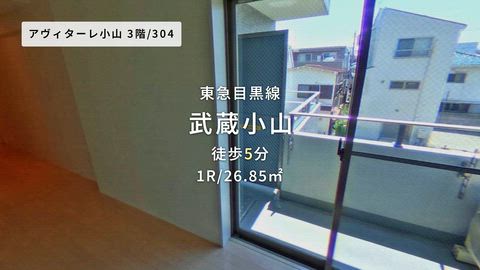 動画