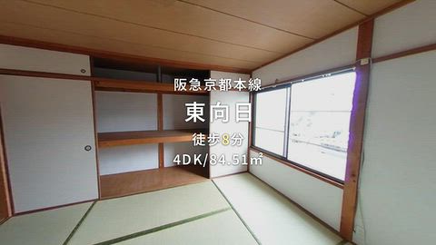 動画