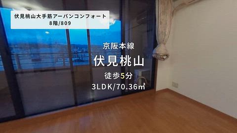 動画