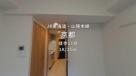 動画