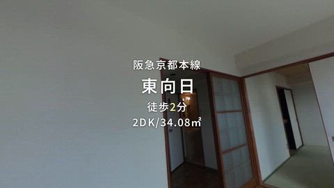 動画