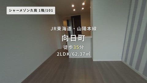 動画