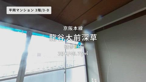 動画