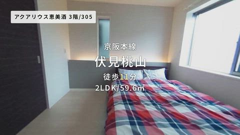 動画