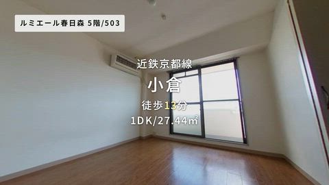 動画