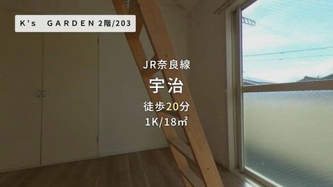 動画
