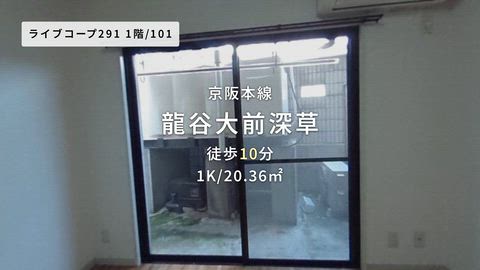 動画