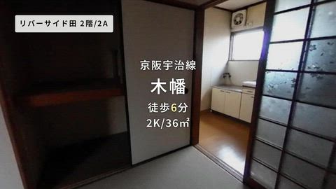 動画