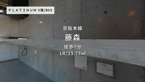 動画
