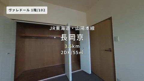 動画