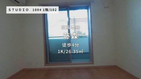 動画