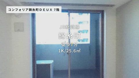 動画