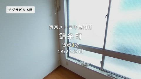 動画