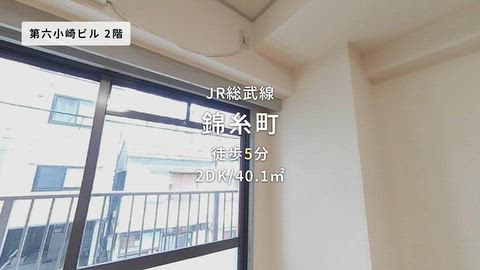 動画
