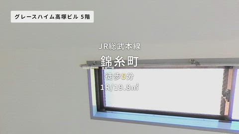 動画