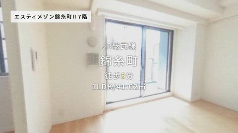 動画