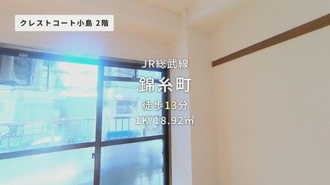 動画