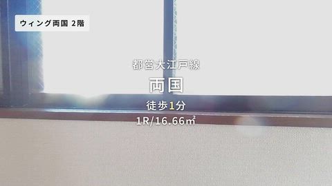 動画