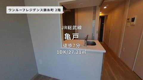 動画