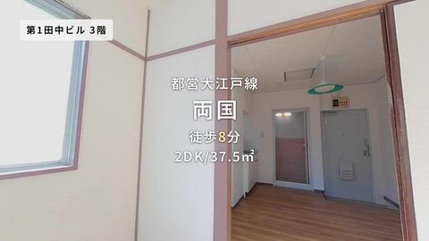 動画