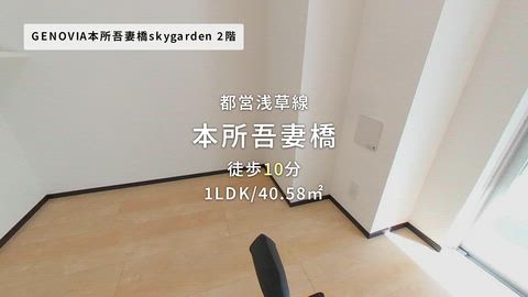 動画