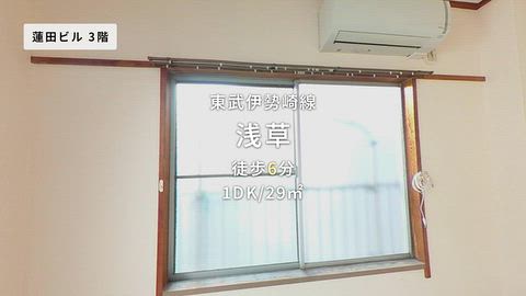動画