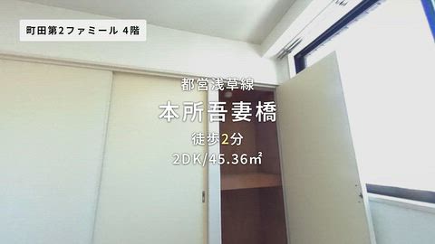 動画