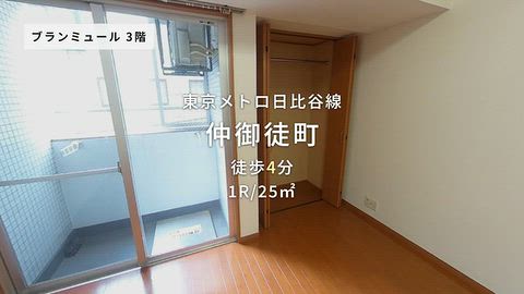 動画