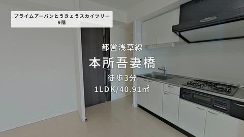動画