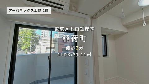動画