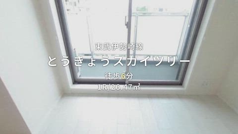 動画