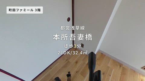 動画
