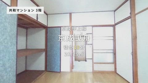 動画