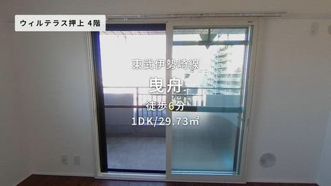 動画