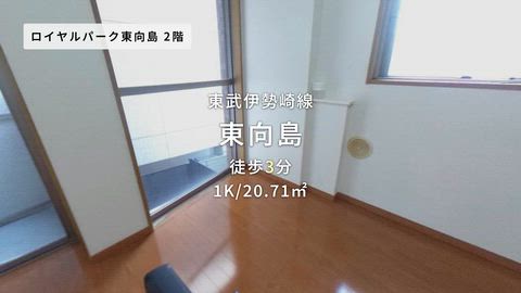 動画