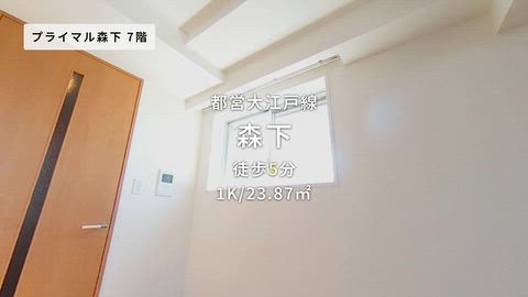 動画