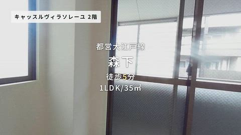 動画