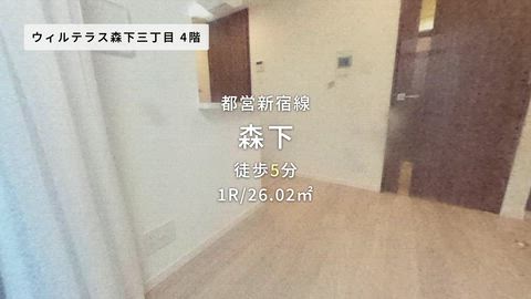 動画