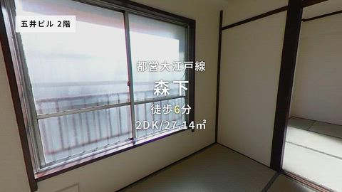 動画