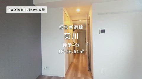 動画