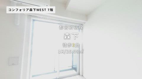 動画