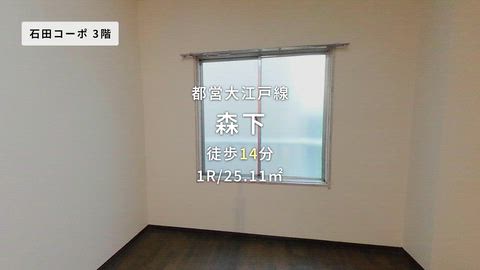 動画