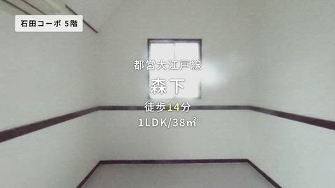 動画