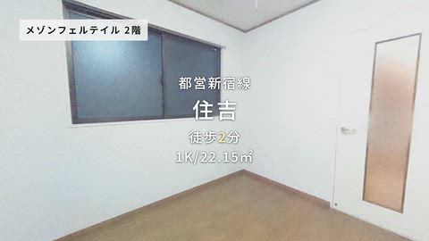動画